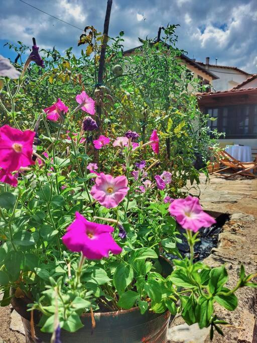 Panthea Cottage Stavroupoli Exterior foto